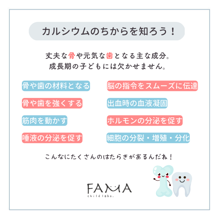 カルシウムのちからを知ろう！丈夫な骨や元気な歯となる主な成分。