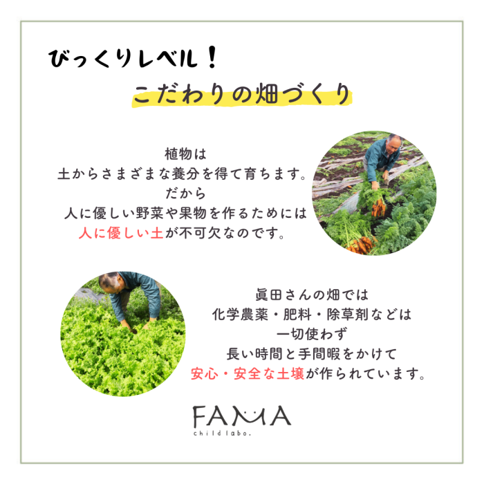 こだわりの畑づくり。化学農薬・肥料・除草剤は一切使わない土壌