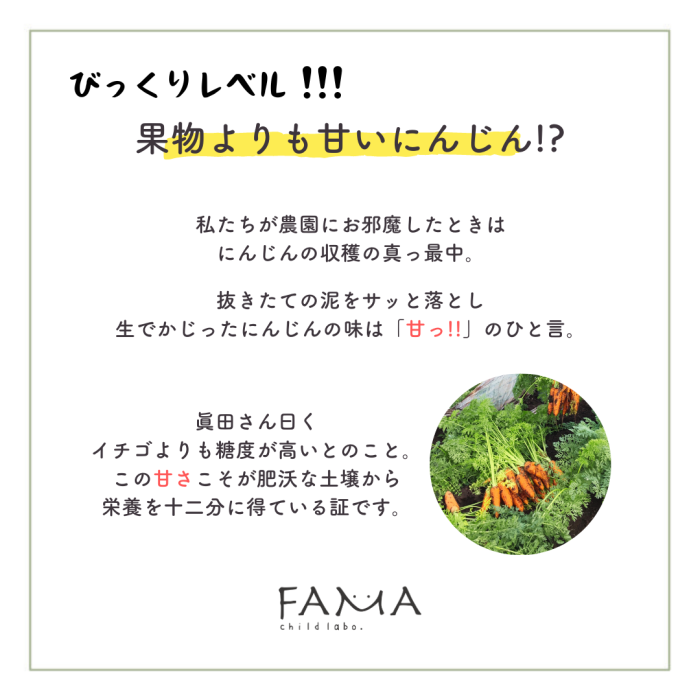 果物よりも甘いにんじん！？イチゴよりも糖度が高い