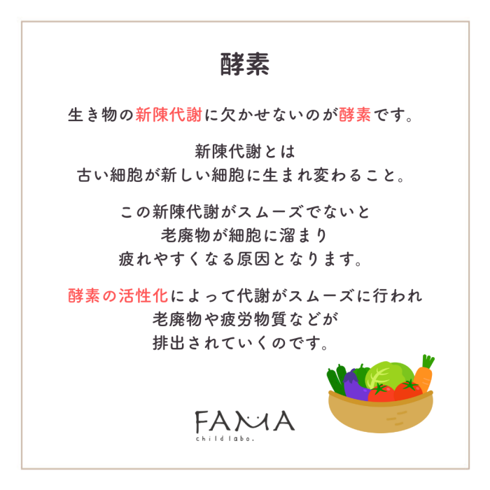 酵素　生き物の新陳代謝に欠かせないのが酵素