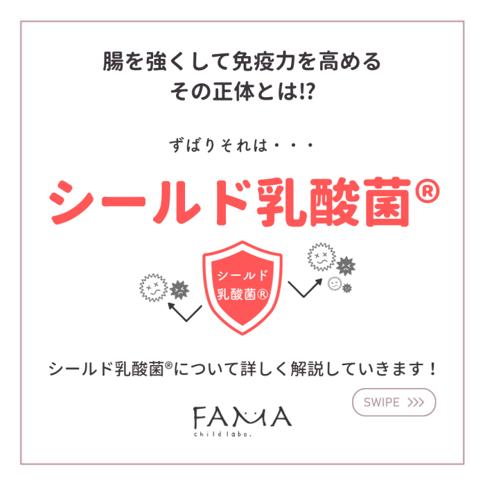 腸を強くして免疫力を高めるその正体はシールド乳酸菌